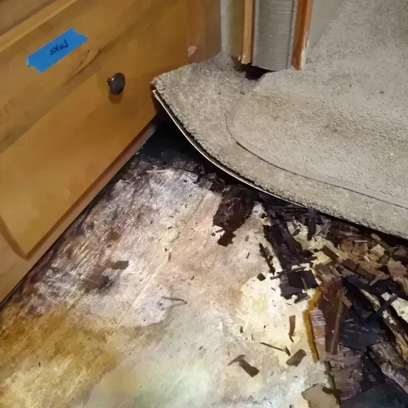 Wood Floor Water Damage in Glendale, CO